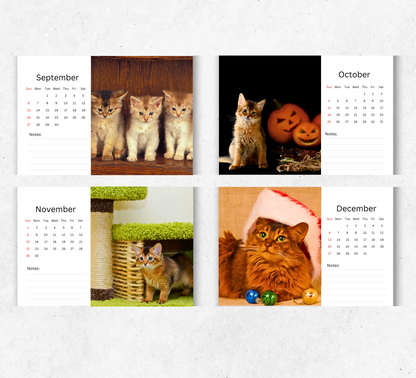 Somali Cat Desk Calendar 2026-2027