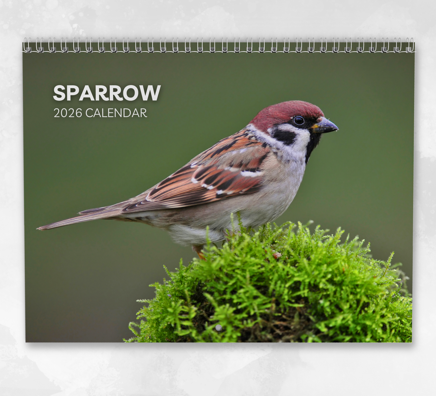 Sparrow Calendar 2026