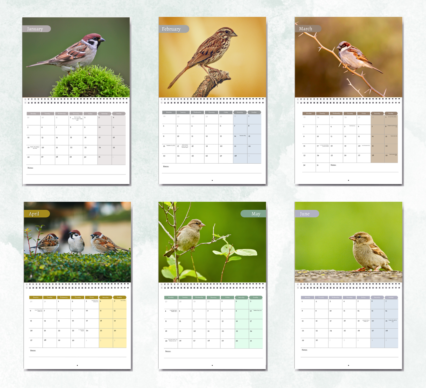 Sparrow Calendar 2026