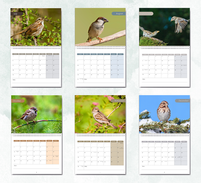Sparrow Calendar 2026