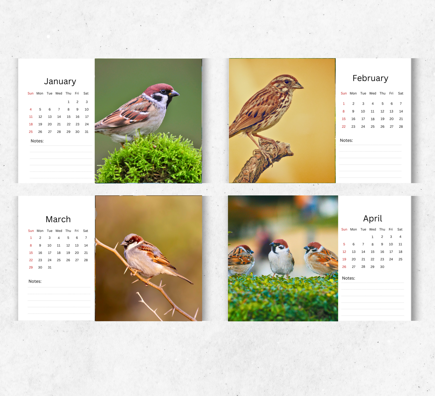 Sparrow Desk Calendar 2026-2027