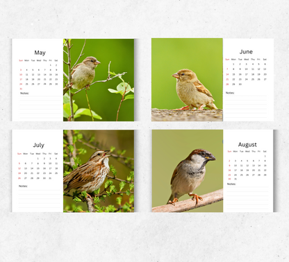 Sparrow Desk Calendar 2026-2027