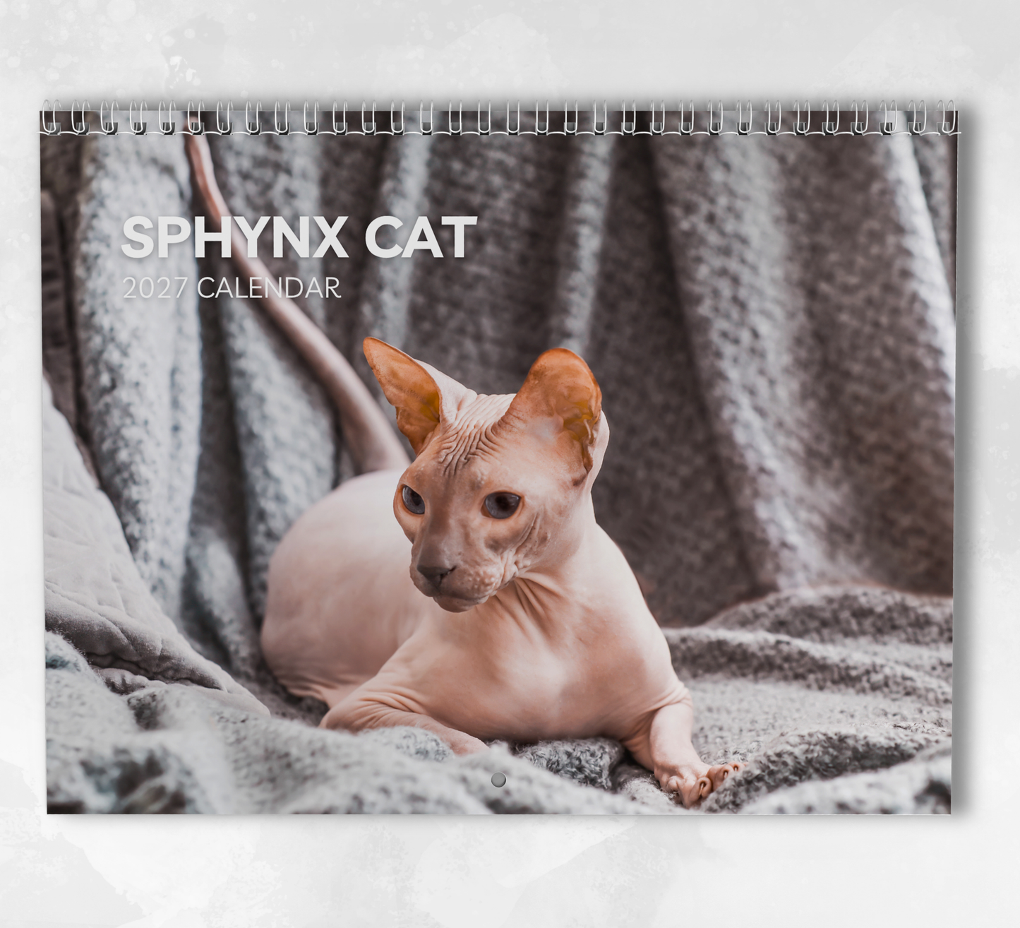 Sphynx Cat Calendar 2027