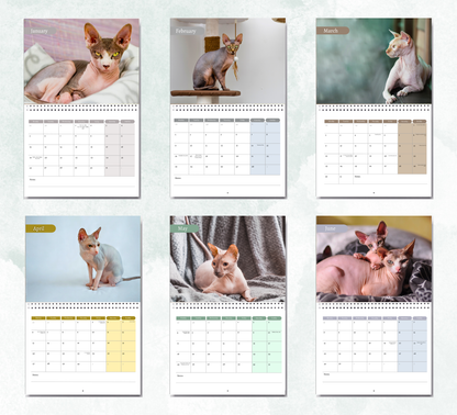 Sphynx Cat Calendar 2027