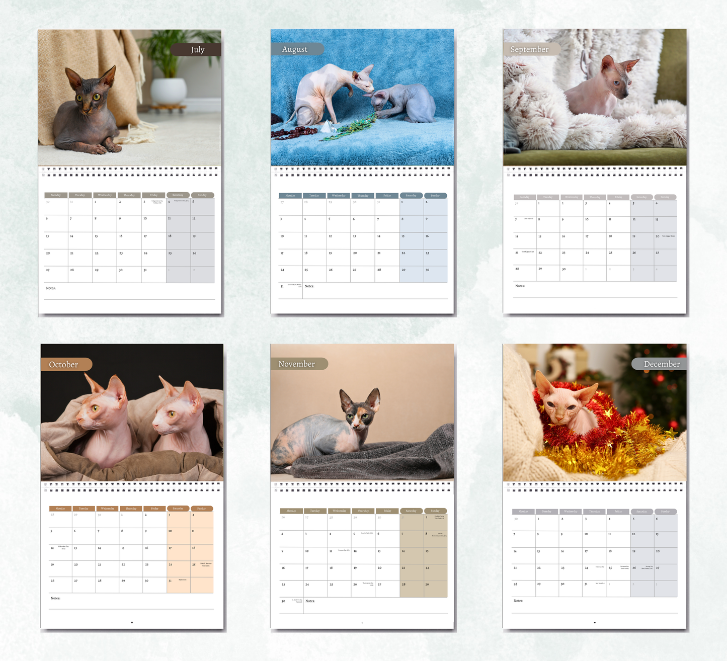 Sphynx Cat Calendar 2027