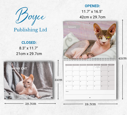 Sphynx Cat Calendar 2027