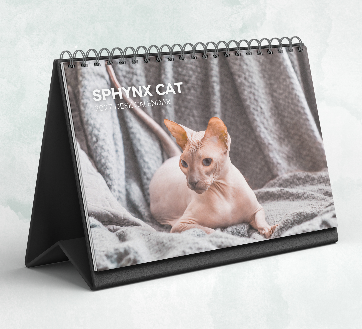 Sphynx Cat Desk Calendar 2027-2028