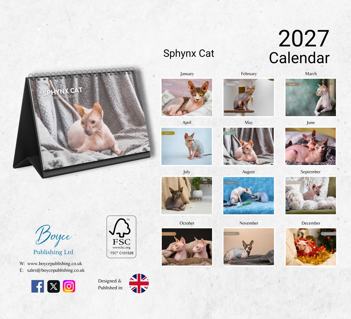 Sphynx Cat Desk Calendar 2027-2028