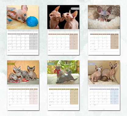 Sphynx Calendar 2026