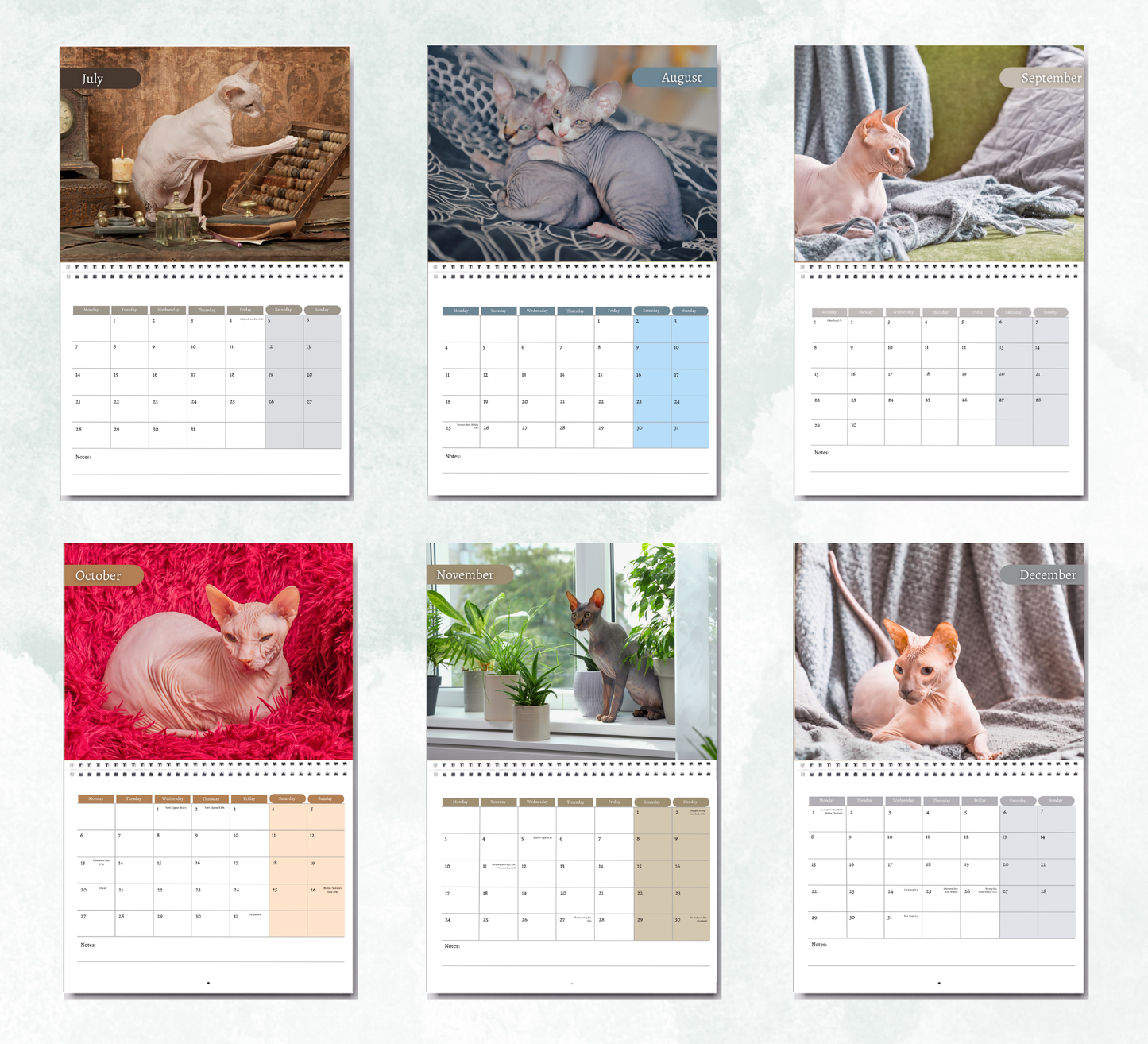 Sphynx Calendar 2026