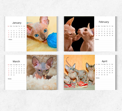 Sphynx Cat Desk Calendar 2026-2027