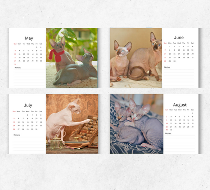 Sphynx Cat Desk Calendar 2026-2027