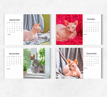 Sphynx Cat Desk Calendar 2026-2027