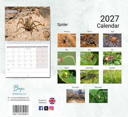 Spider Calendar 2027
