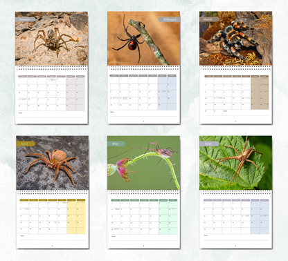 Spider Calendar 2027
