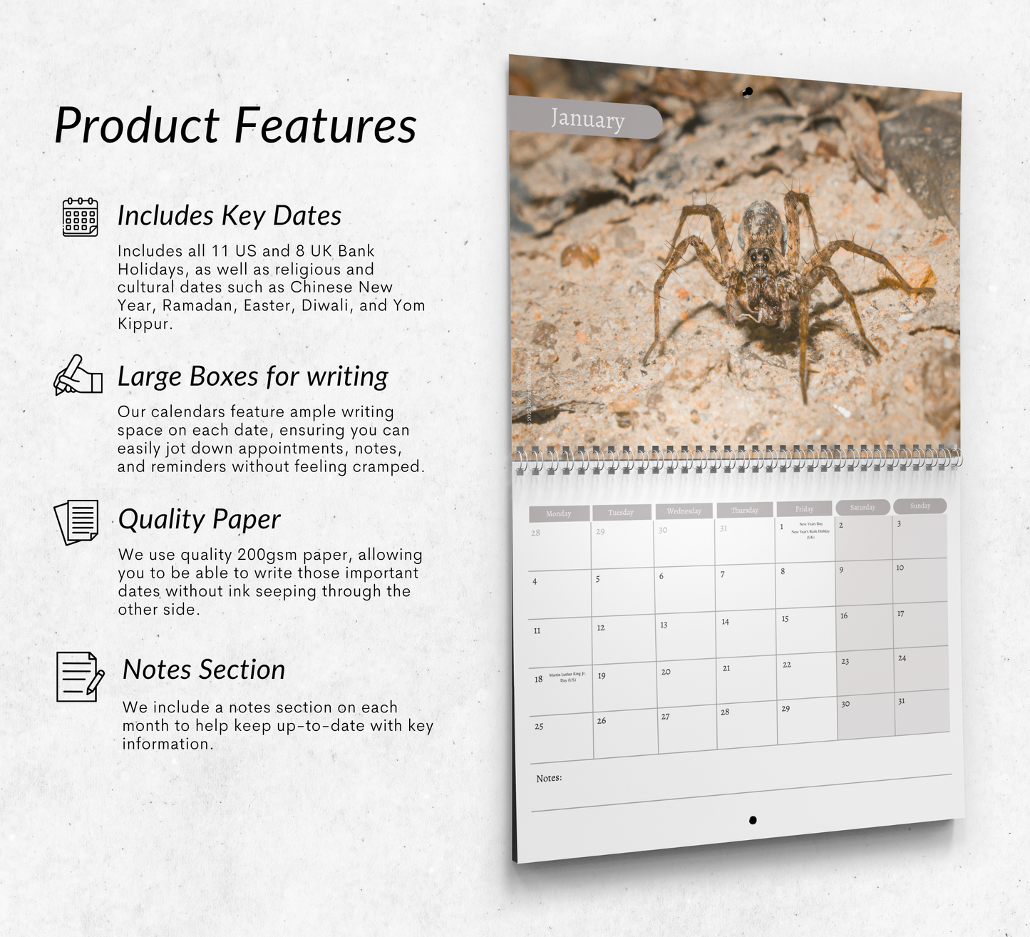 Spider Calendar 2027