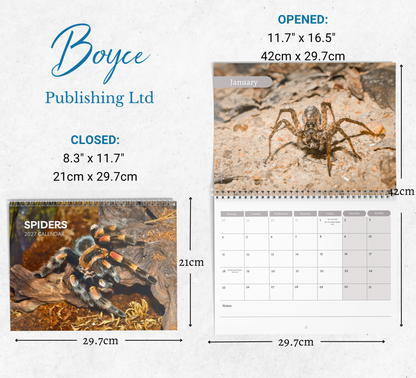 Spider Calendar 2027