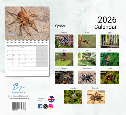 Spider Calendar 2026
