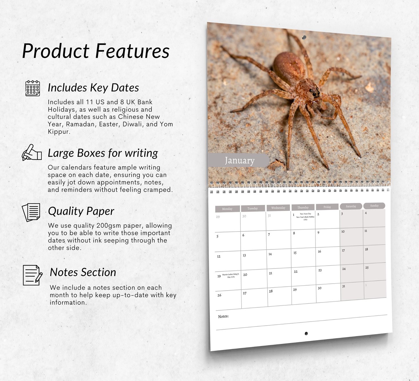 Spider Calendar 2026