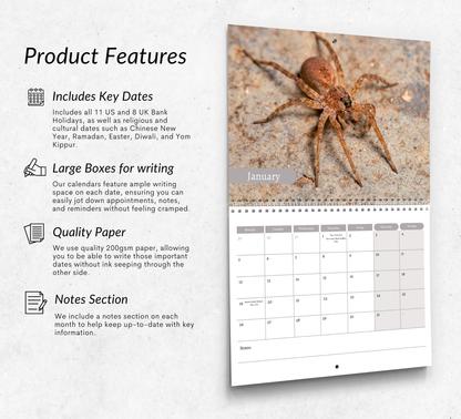Spider Calendar 2026