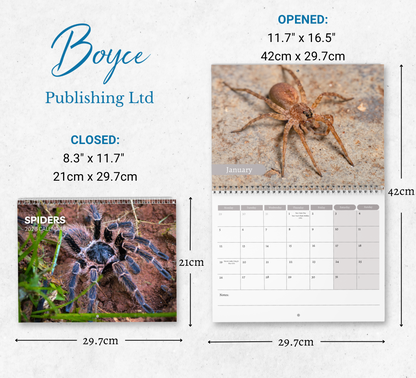 Spider Calendar 2026