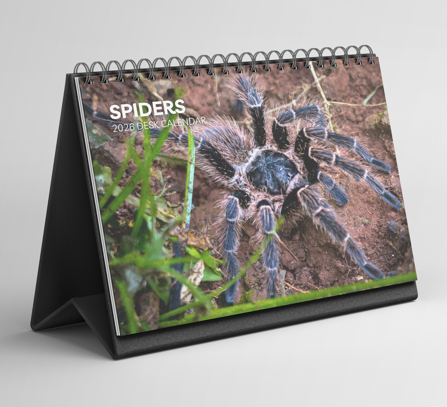 Spider Desk Calendar 2026-2027