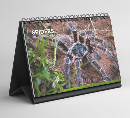 Spider Desk Calendar 2026-2027
