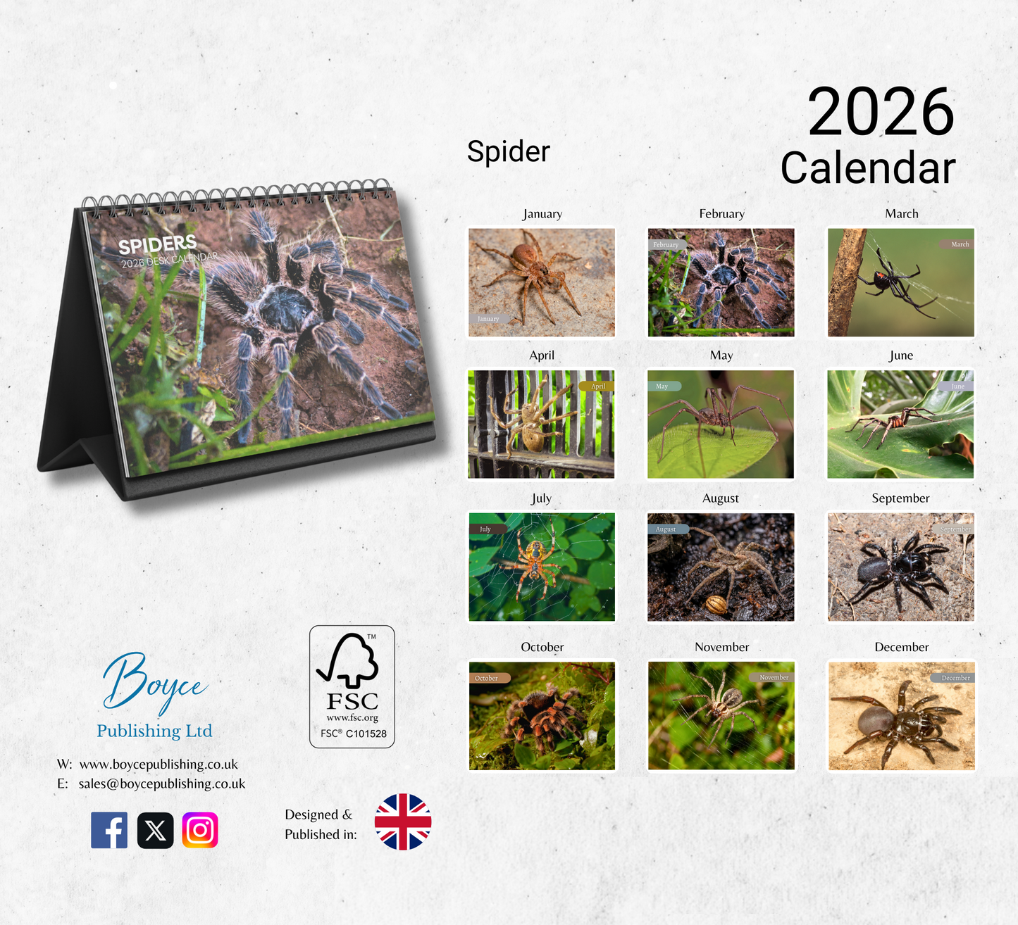 Spider Desk Calendar 2026-2027
