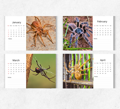 Spider Desk Calendar 2026-2027