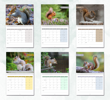 Squirrel Calendar 2027