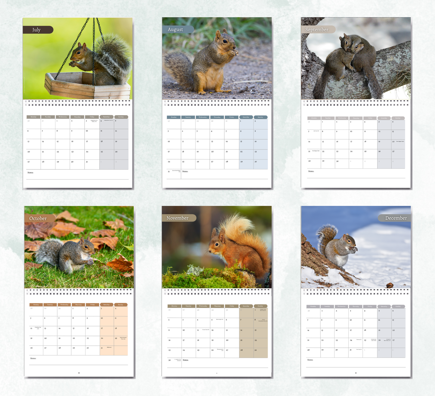 Squirrel Calendar 2027