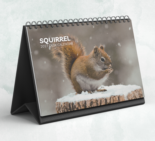 Squirrel Desk Calendar 2027-2028