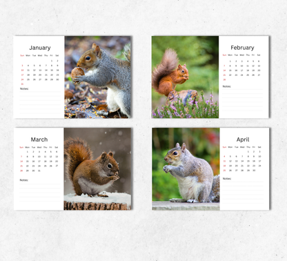 Squirrel Desk Calendar 2027-2028