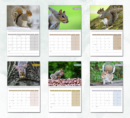 Squirrel Calendar 2026