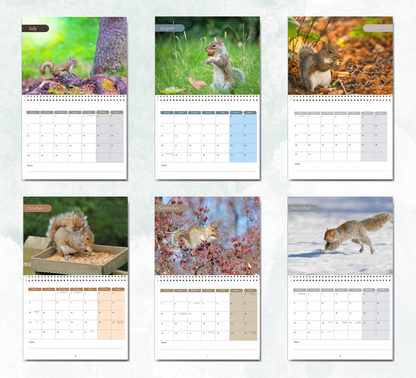 Squirrel Calendar 2026