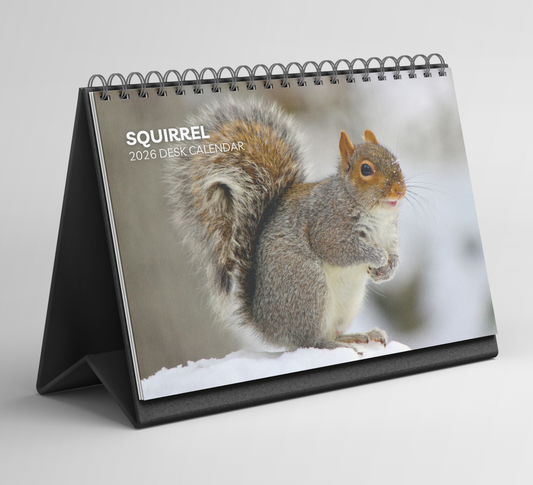 Squirrel Desk Calendar 2026-2027
