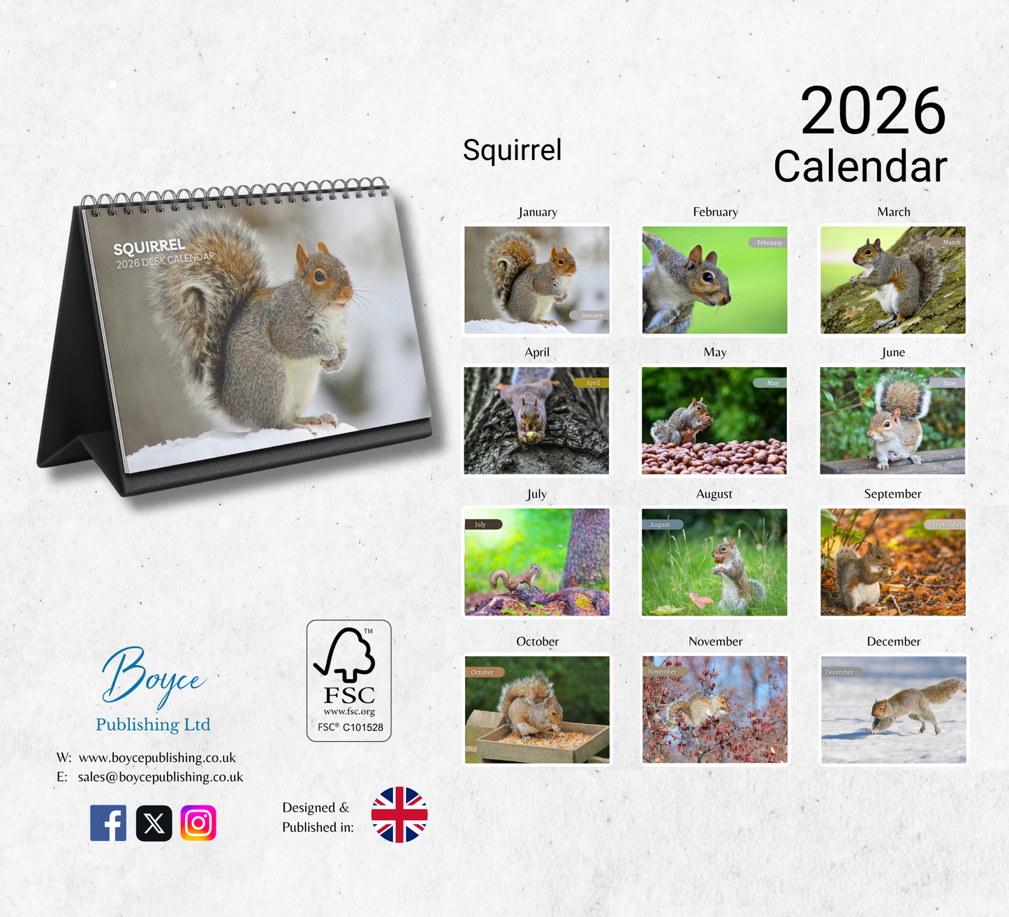Squirrel Desk Calendar 2026-2027
