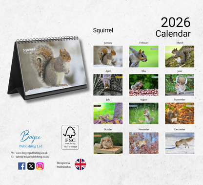 Squirrel Desk Calendar 2026-2027