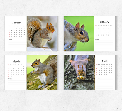 Squirrel Desk Calendar 2026-2027