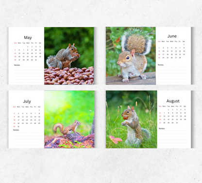 Squirrel Desk Calendar 2026-2027