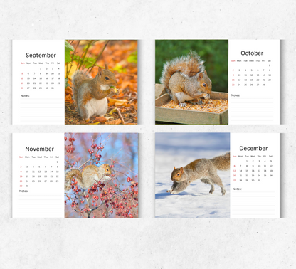 Squirrel Desk Calendar 2026-2027