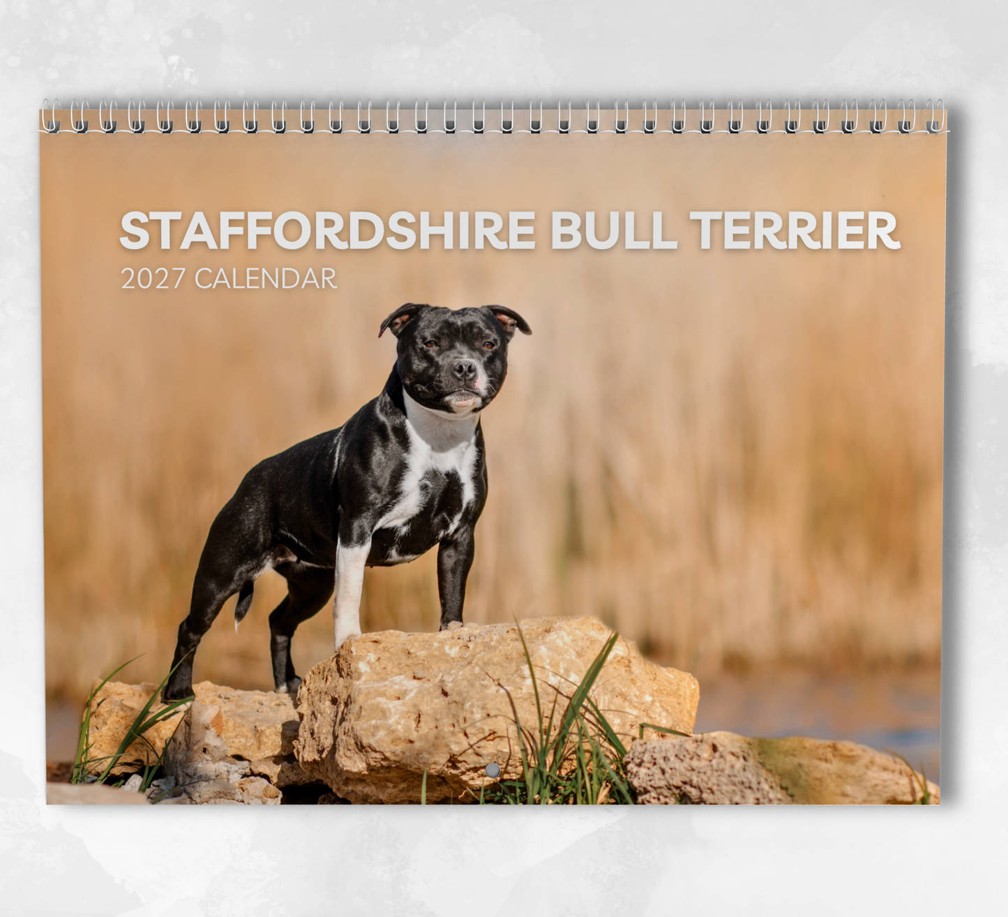 Staffordshire Bull Terrier Calendar 2027