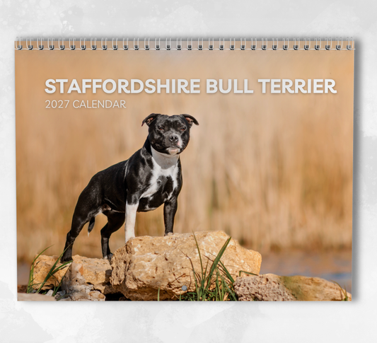 Staffordshire Bull Terrier Calendar 2027
