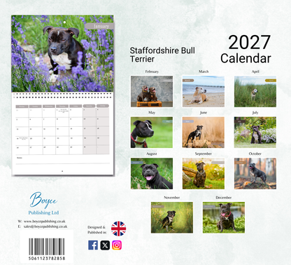 Staffordshire Bull Terrier Calendar 2027