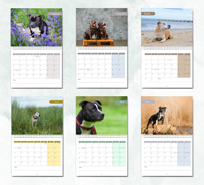 Staffordshire Bull Terrier Calendar 2027