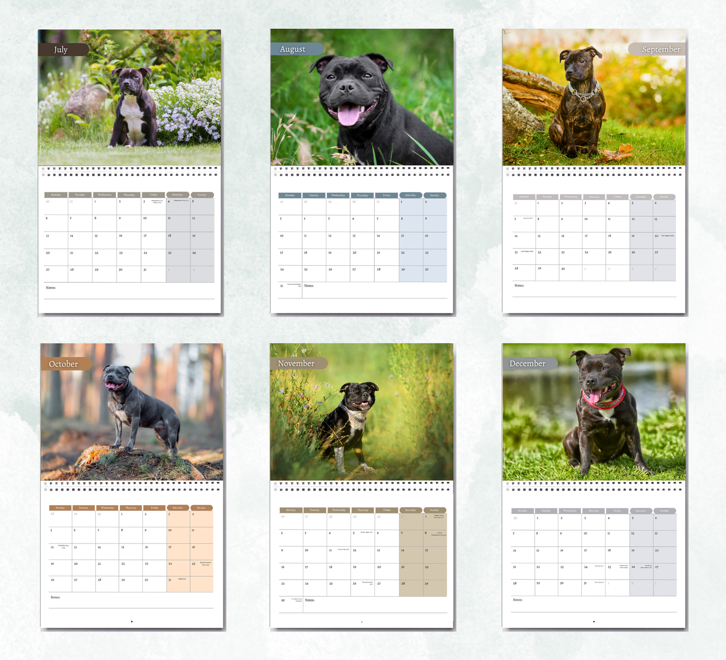Staffordshire Bull Terrier Calendar 2027