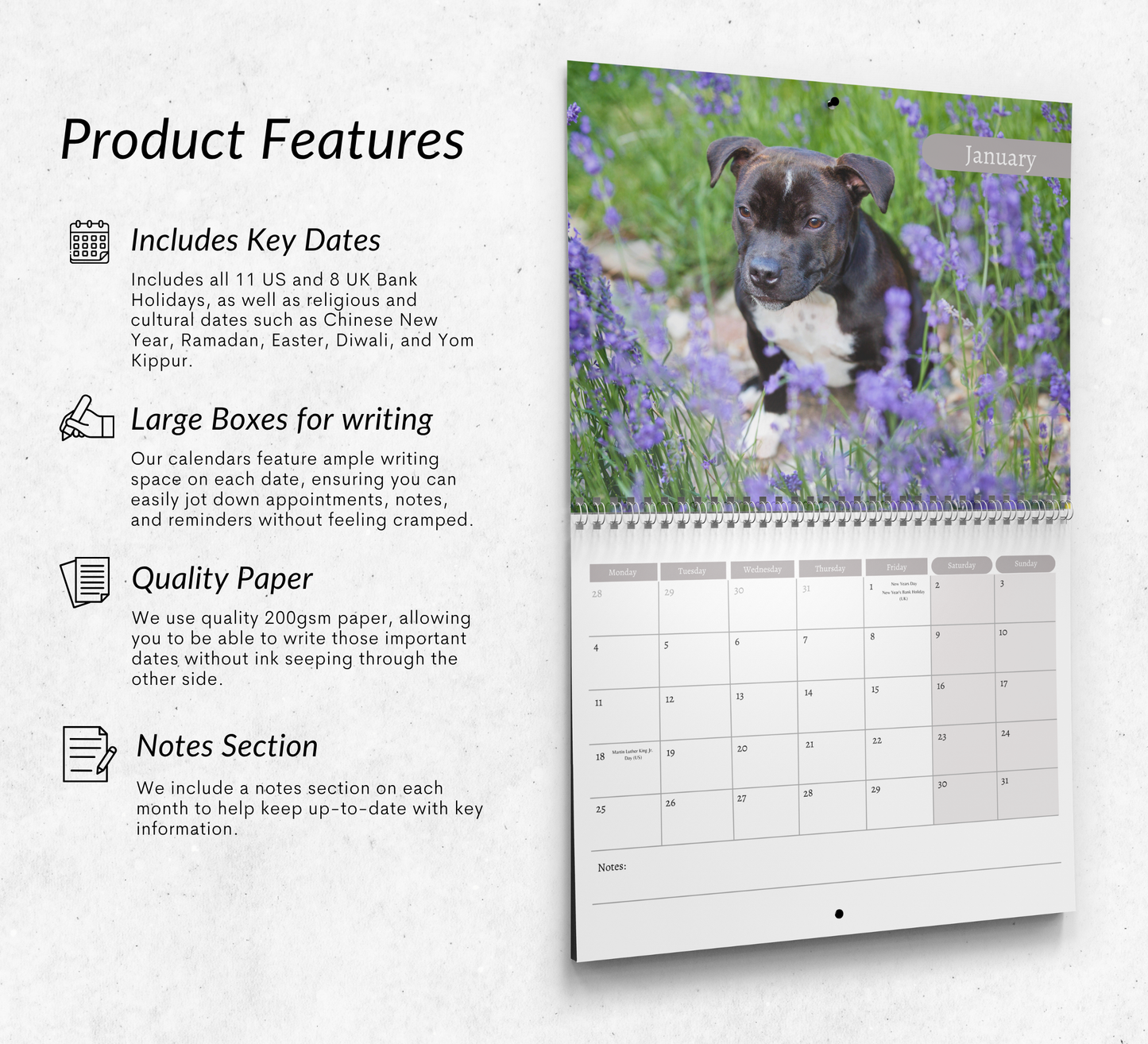 Staffordshire Bull Terrier Calendar 2027