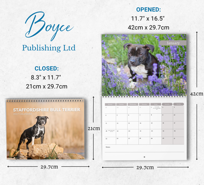 Staffordshire Bull Terrier Calendar 2027