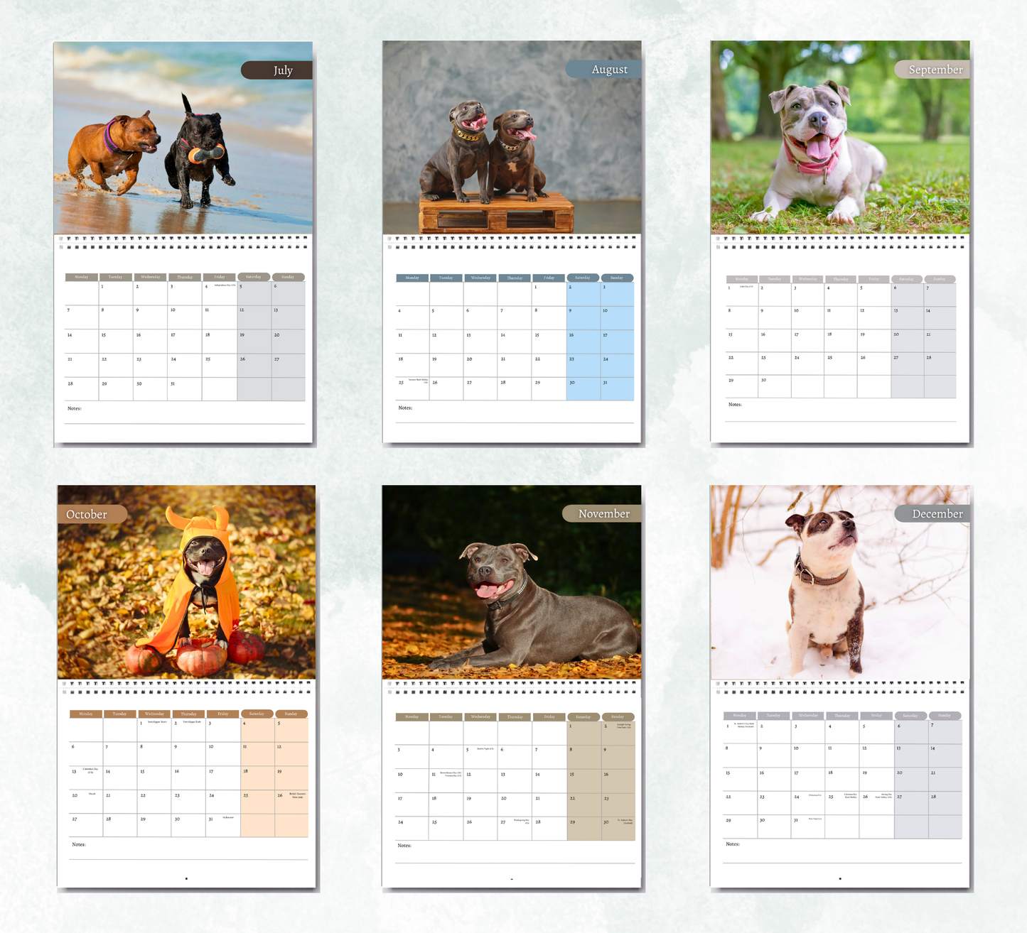 Staffordshire Bull Terrie Calendar 2026