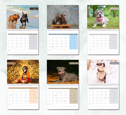 Staffordshire Bull Terrie Calendar 2026